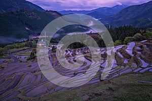 Terraced rice field