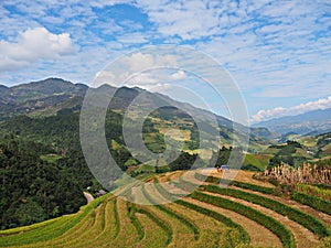 Terraced Rice Field, Mu Cang Chai Vietnam