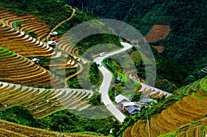 Terraced rice field in Mu Cang Chai, Vietnam