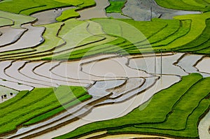 Terraced rice field in Mu Cang Chai, Vietnam