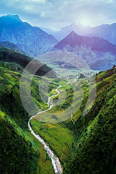 Terraced rice field in Mu Cang Chai, Vietnam