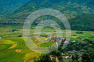 Terraced rice field in Mu Cang Chai, Vietnam