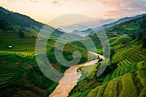 Terraced rice field in Mu Cang Chai, Vietnam photo