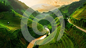 Terraced rice field in Mu Cang Chai, Vietnam photo