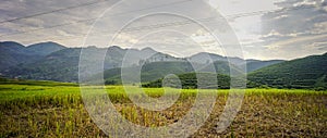 Terraced rice field in Northern, Vietnam