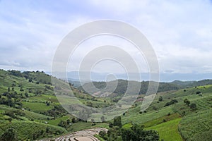 Terraced rice field in Pa Pong Pieng , Mae Chaem, Chiang Mai, Thailand