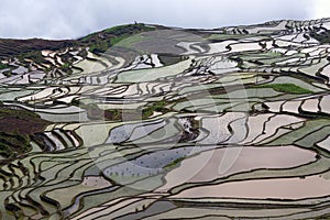 Terraced rice field in water season of Hani ethnic people in Yuanyang, China