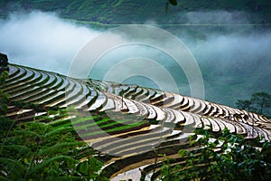 Terraced rice field in water season, the time before starting grow rice, with clouds on background in Y Ty, Lao Cai province, Viet