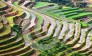 Terraced rice fields