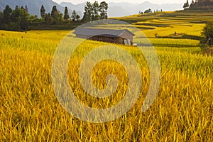 Terraced rice fields & Chinses house