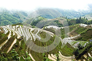 Terraced rice fields in Guilin, Longshan