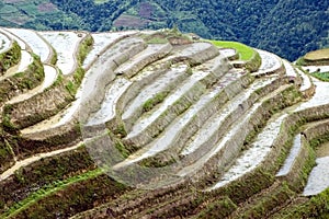 Terraced rice fields in Guilin, Longshan