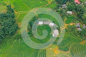 Terraced rice fields in harvest season, Muong Hoa Valley, Sappa, Northern Vietnam.