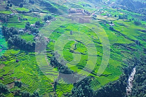 Terraced rice fields in harvest season, Muong Hoa Valley, Sappa, Northern Vietnam.