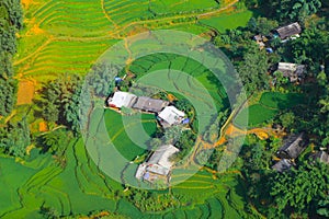 Terraced rice fields in harvest season, Muong Hoa Valley, Sappa, Northern Vietnam.