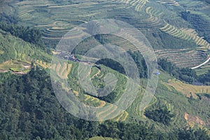 Terraced Rice Fields and Landscapes in Sapa of Vietnam