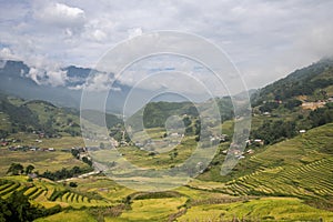 Terraced Rice Fields and Landscapes in Sapa of Vietnam