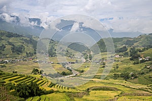 Terraced Rice Fields and Landscapes in Sapa of Vietnam