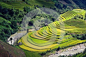 Terraced rice fields in Mu Cang Chai, Yen Bai, Vietnam.