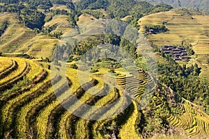 Terraced rice fields near Guilin, Guangxi