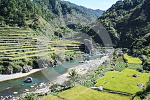 Terraced Rice Fields Northern Luzon the Philippines