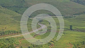 Terraced rice fields with road at Mong Duong town in Hagiang, Vietnam