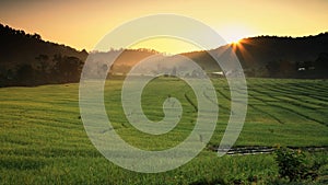 Terraced rice fields at Sunrise in Mae Klang Luang, Chiang Mai