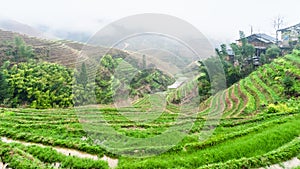 terraced rice fields and Tiantouzhai village