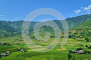 Terraced rice fields and traditional houses of the H`Mong ethnic people