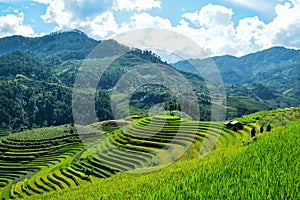 Terraced rice fields and traditional houses of the H`Mong ethnic people