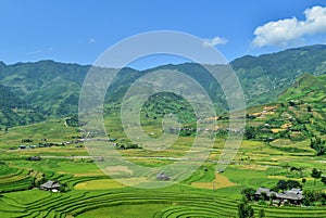 Terraced rice fields and traditional houses of the H`Mong ethnic people