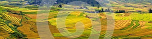 Terraced rice fields in Vietnam