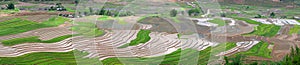 Terraced rice fields in Vietnam