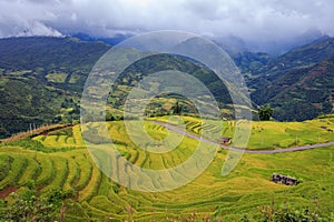 Terraced rice fields in Y Ty, Lao Cai Province, Vietnam