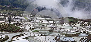 Terraced rice fields in Yuanyang in the Ailao mountains, Yunnan province, China