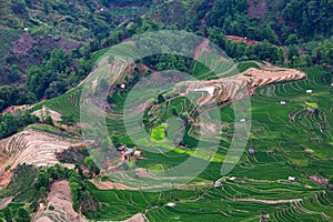 Terraced rice fields in Yuanyang county, Yunnan, China