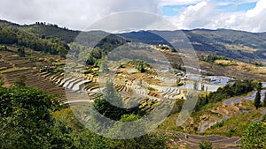 Terraced rice fields in Yunnan, China