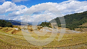 Terraced rice fields in Yunnan, China