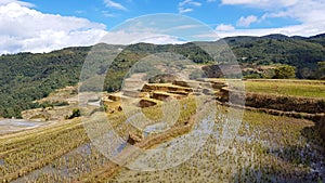 Terraced rice fields in Yunnan, China