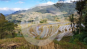 Terraced rice fields in Yunnan, China