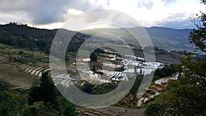 Terraced rice fields in Yunnan, China