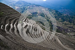 Terraced rice paddies photo