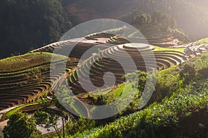 Terraced ricefield at Vietnam water season