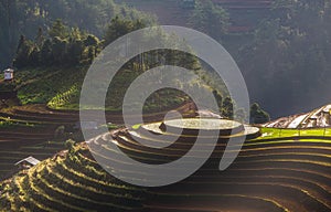 Terraced ricefield at Vietnam water season