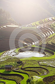 Terraced ricefield at Vietnam water season