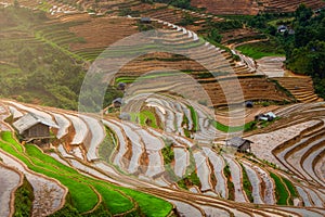 Terraced ricefield in water season in La Pan Tan, Vietnam