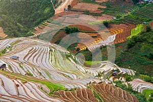Terraced ricefield in water season in La Pan Tan, Vietnam