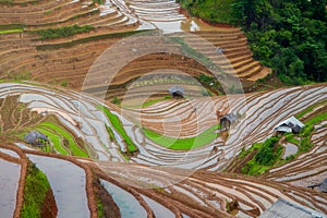 Terraced ricefield in water season in La Pan Tan, Vietnam