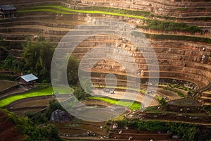 Terraced ricefield in water season in La Pan Tan, Vietnam