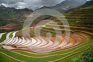 Terraced ricefield in water season at Mu Cang Chai , Vietnam